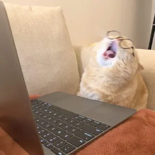 Sticker HIRUMO_memes - 1