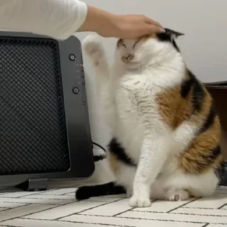 Sticker HIRUMO_memes - 7