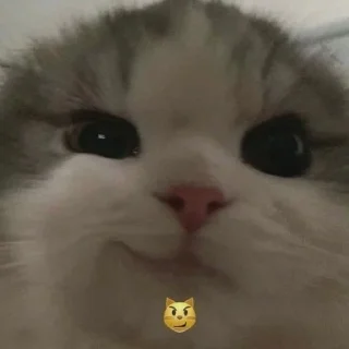 Sticker HIRUMO_memes - 9