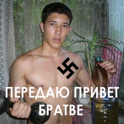 человеческое лицо Человек мышца