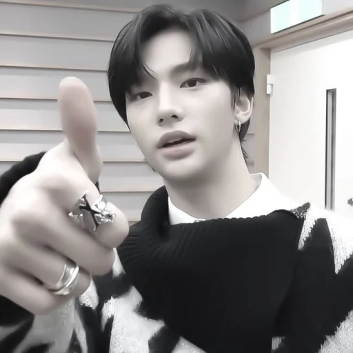 Человек человеческое лицо комнатный