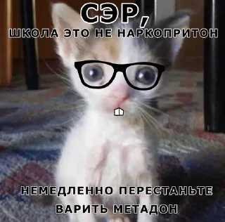 Sticker Больше стикеров 👉🏻 @stickertg4 - 5