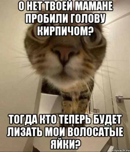 Sticker hlpgNUct_by_stickers_stealer_bot - 1