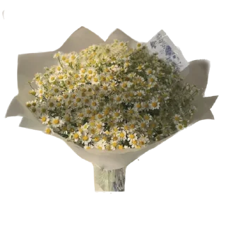 Sticker Цветы от Саши - 4