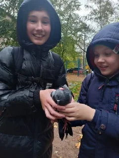 Sticker Больше стиков тут: @gostikers - 1