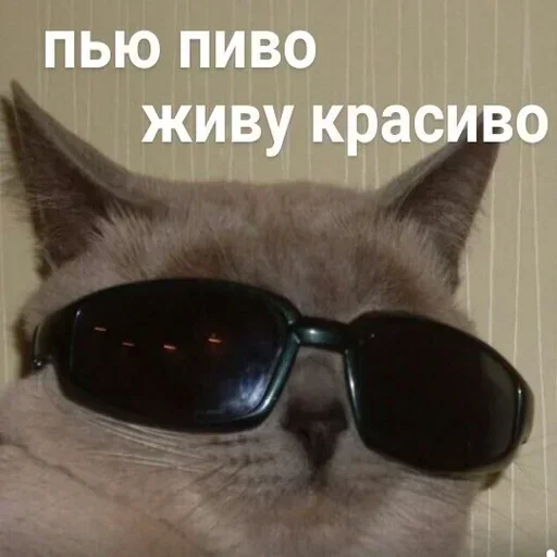 Стикер hoPiJxb_by_achestickbot - 1