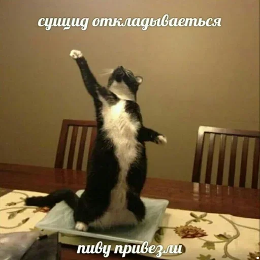 Стикер hoPiJxb_by_achestickbot - 1