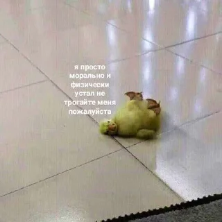 Sticker Больше стиков тут: @stikery4 - 3