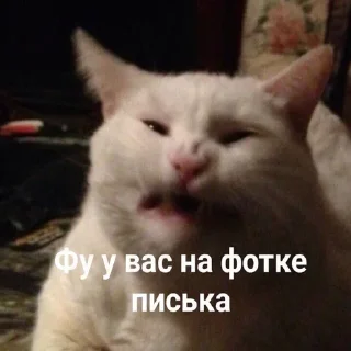 Sticker Больше стиков тут: @stikery4 - 0