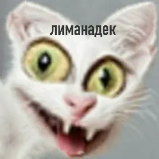 Sticker Больше стиков тут: @stikery4 - 9