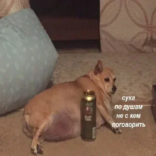 Sticker Больше стиков тут: @stikery4 - 8