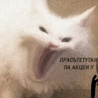 Sticker Больше стиков тут: @stikery4 - 6