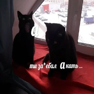 Sticker Больше стиков тут: @stikery4 - 1