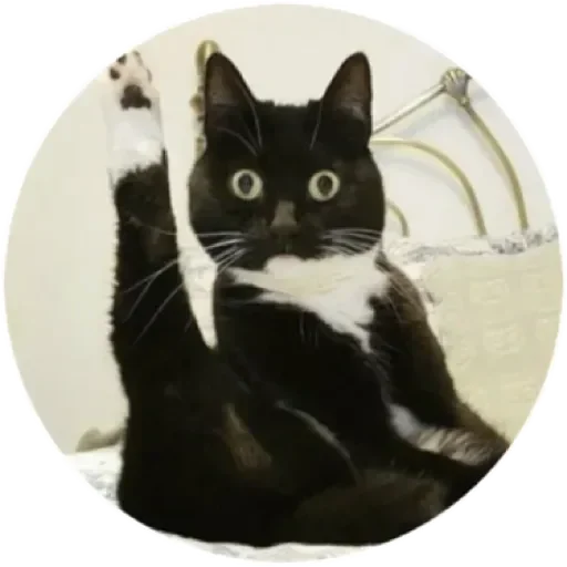 Хоба(@alp_stickers) - 