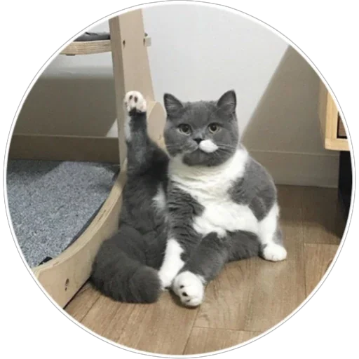 Sticker hoba_pack - 1