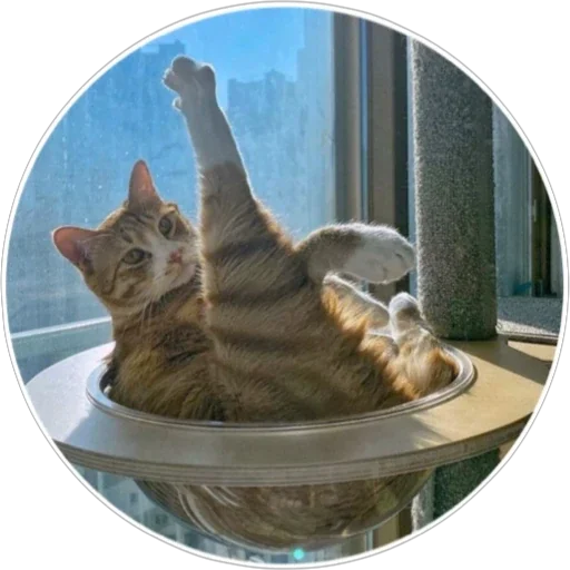 Sticker hoba_pack - 1