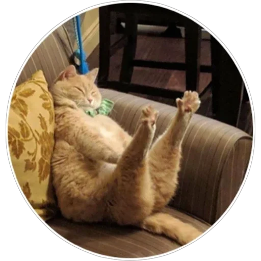 Sticker hoba_pack - 1