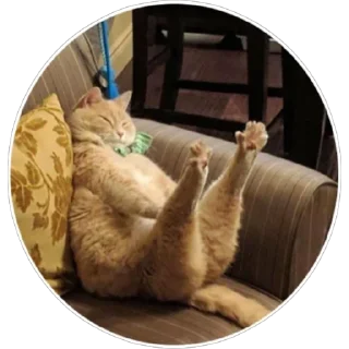 Стикер Хоба(@alp_stickers) - 2