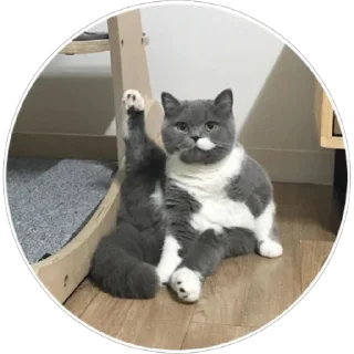 Стикер Хоба(@alp_stickers) - 5