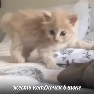 Sticker ядерная ржака - 0