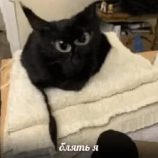 Sticker ядерная ржака - 5