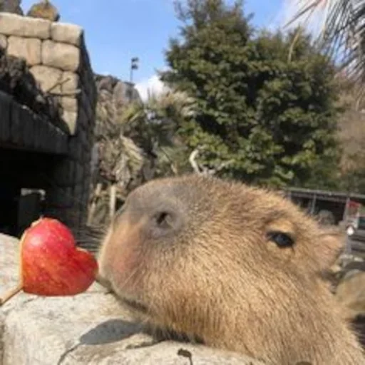 Sticker hodbgrthip_by_e4zybot - 1