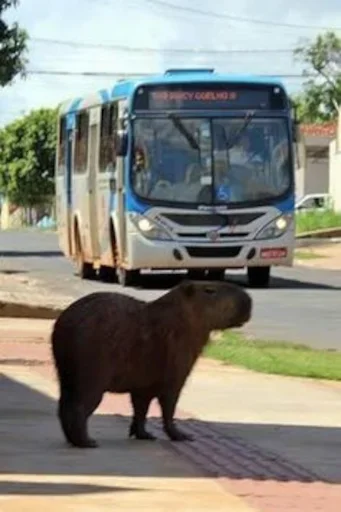 Sticker hodbgrthip_by_e4zybot - 1