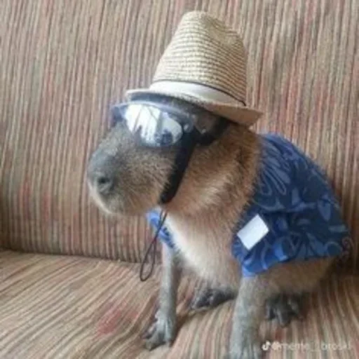 Sticker hodbgrthip_by_e4zybot - 1