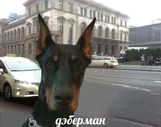 Sticker стики ходилки!🌞🌈 by @fStikBot - 10