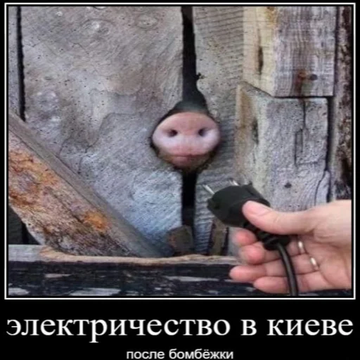 Sticker Хохлофобия💞 ДВСР ПАК🇷🇺 - 5