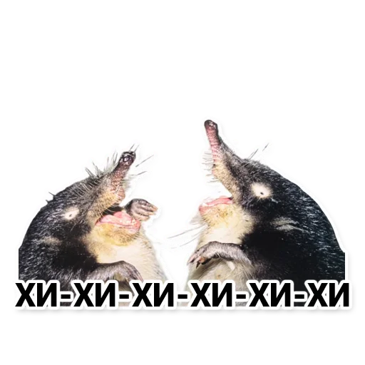 Sticker hohulyahohotulya - 3