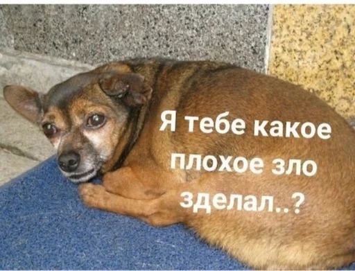 Стикер charly - 11