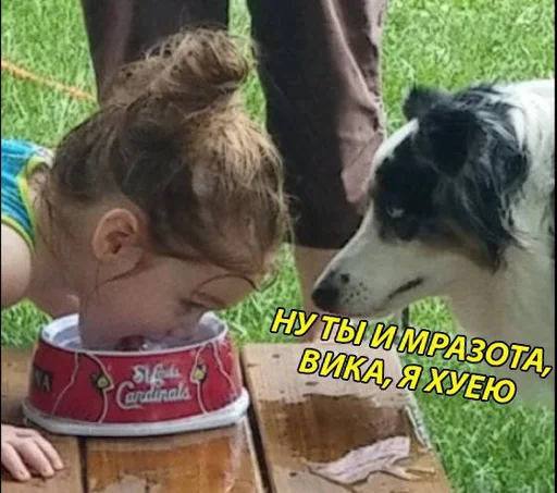 Стикер charly - 6