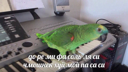 Стикер charly - 0