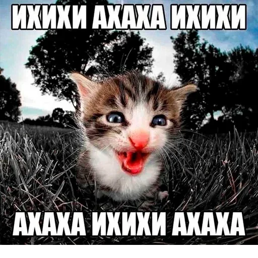 Sticker holwtdNfCbkJTBAr_by_stickers_stealer_bot - 1