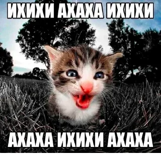 Sticker @stiki_tg_nah_canal - 11