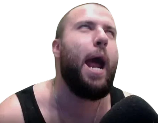 Sticker holy_pashtet - 1