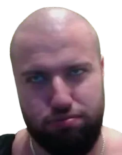 Sticker holy_pashtet - 4