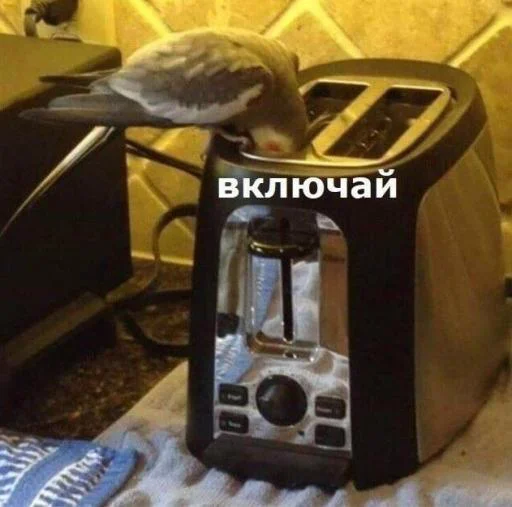 kitchen appliance home appliance small appliance