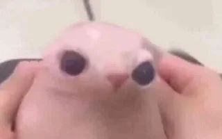 Sticker спаси и сохрани - 9