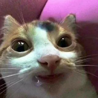 Sticker Homework (3) - 5