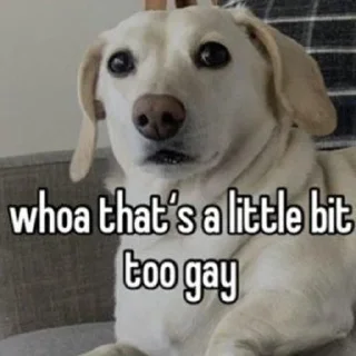 Sticker homophobic animals - 0