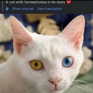 Sticker homophobic animals - 9