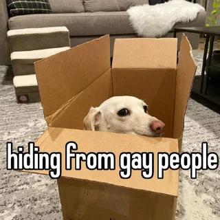 Sticker homophobic animals - 5