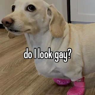 Sticker homophobic animals - 1