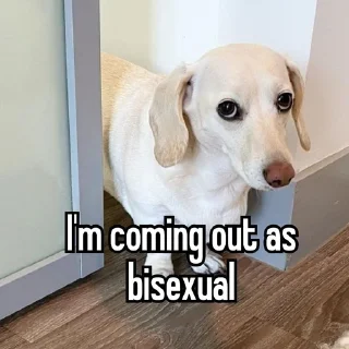 Sticker homophobic animals - 4