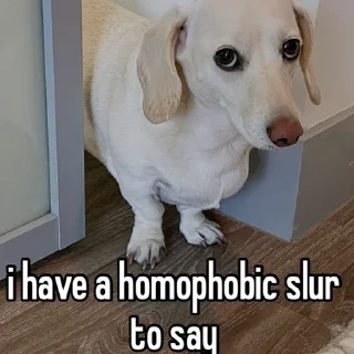 Sticker homophobic animals - 6