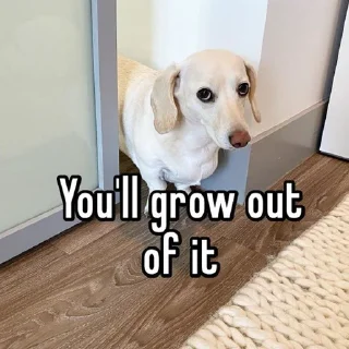 Sticker homophobic animals - 2