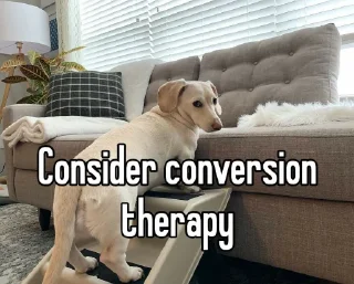 Sticker homophobic dog - 7