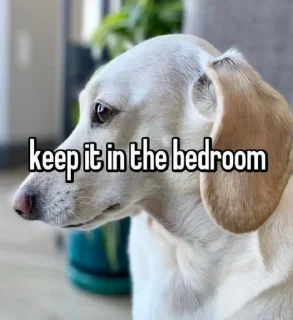 Sticker homophobic dog - 9